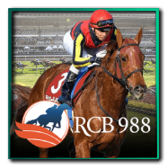 RCB988
